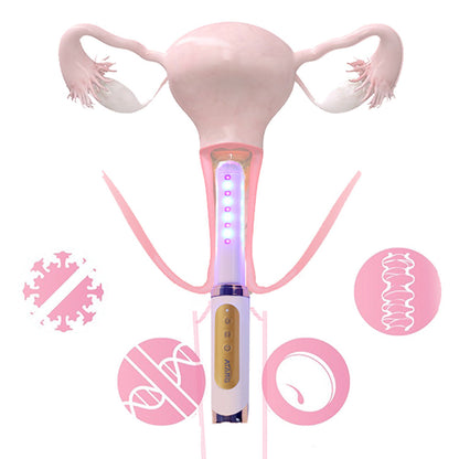 Vaginal Rejuvenation Laser Therapy for Gynecological and Vaginitis Home Use Portable Device